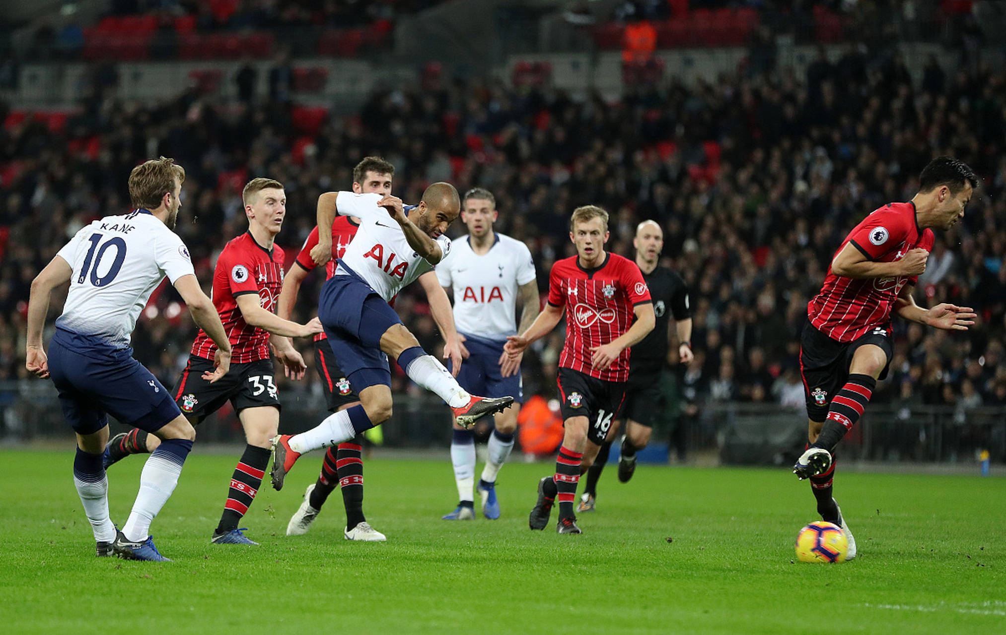 不仅惹人注 不仅惹人注